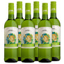 Africa Five Sauvignon Blanc 2024 - pricing per case of 6 x 750ml