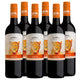 Africa Five Pinotage 2023 - pricing per case of 6 x 750ml